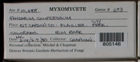 Image Associated With the Occurence